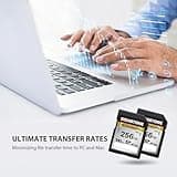 Gigastone - Tarjeta de Memoria SDXC de 256 GB, 4K Cámara Pro Serie, Velocidad de Transferencia de hasta 100 MB/s. Compatible con cámara Canon Nikon Sony Videocámara, A1 V30 UHS-I Clase 10 para 4K UHD