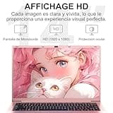 Ordenador Portátil 14 Pulgadas Celeron N5095 Upto 2,9 GHz Portatiles 8GB RAM 256GB SSD TF 1TB LPDDR4 Win11 5G WiFi 1920*1080 FHD Widevine L1 Laptop Película Protectora Español - Oro Cuerpo Metálico
